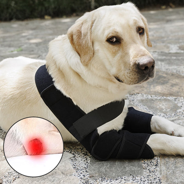 Dog elbow hot sale bandage