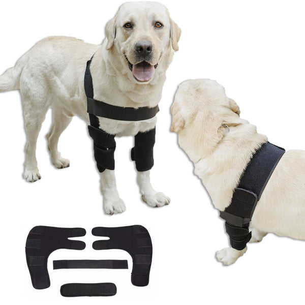 Elbow guards hot sale for dogs