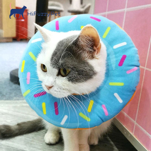 cat donut cone