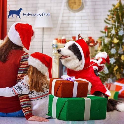 Dog Christmas Outfit with Santa Claus