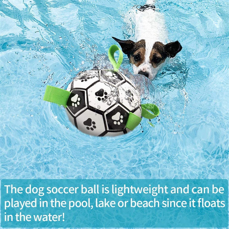 Small Dog Interactive Football Toys - Pet Lovers Heaven