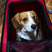 Load image into Gallery viewer, HiFuzzyPet Folding Comfortable Dog Travel Crate
