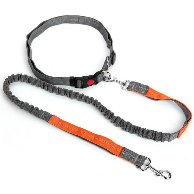 HiFuzzyPet Hands-Free Dog Leash for Training, Walking, Jogging and Running Your Pet