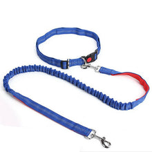 Load image into Gallery viewer, HiFuzzyPet Hands-Free Dog Leash for Training, Walking, Jogging and Running Your Pet
