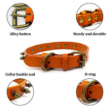 Load image into Gallery viewer, HiFuzzyPet Leather Spiked Dog Collars
