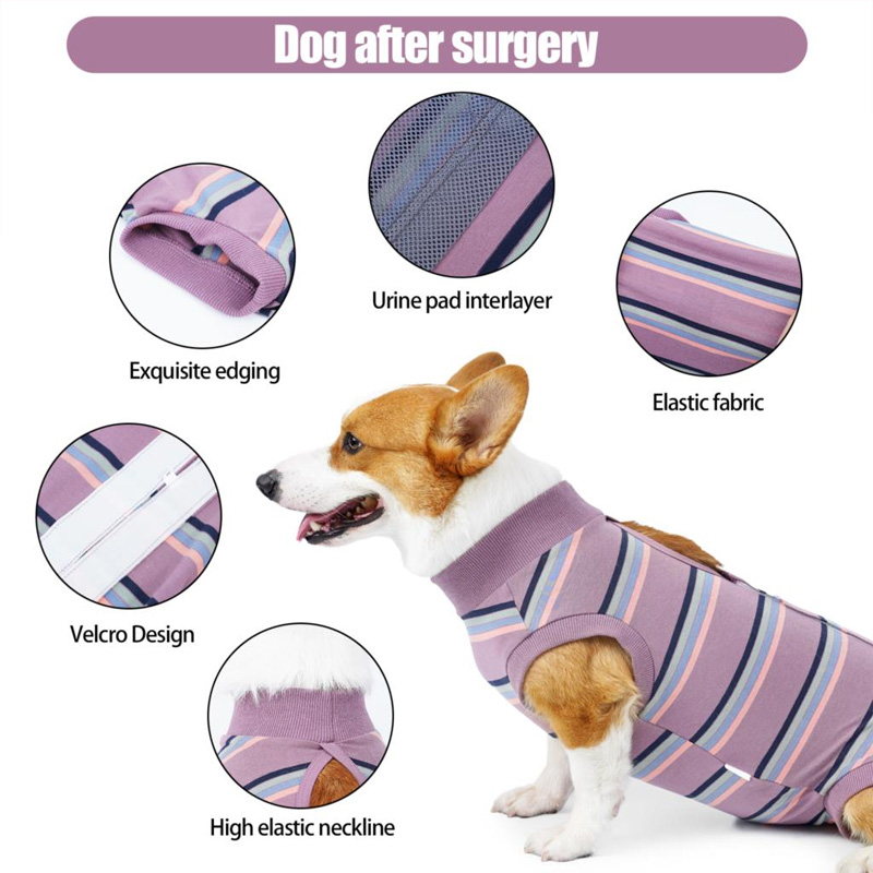 Post surgery outlet suit for dogs