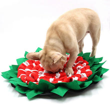 Load image into Gallery viewer, HiFuzzyPet Adjustable Dog Snuffle Mat, Pet Nose Training Toy
