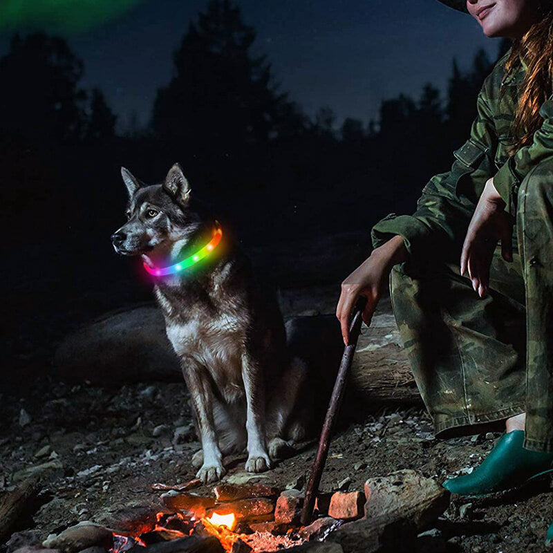 HiFuzzyPet Light Up Dog Collar for Night Walking