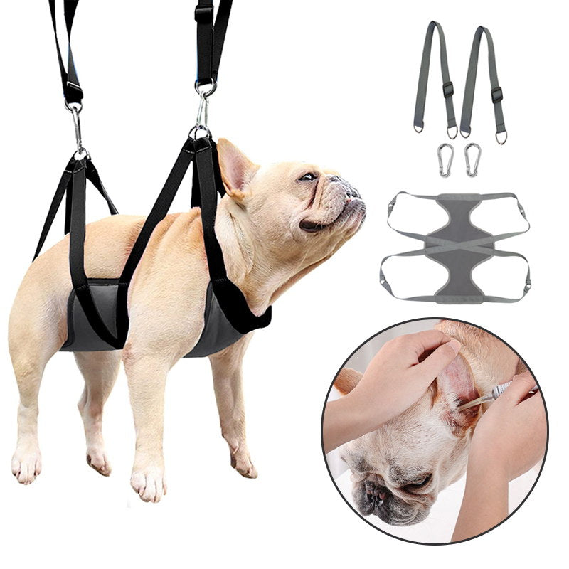 Grooming leash for outlet dogs