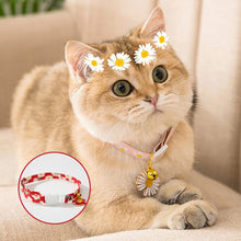 Load image into Gallery viewer, HiFuzzyPet 2pcs Flower Pendant Cat Collar with Bell
