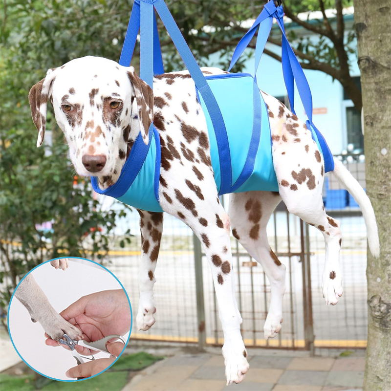 Hammock for dog grooming best sale