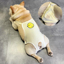 Load image into Gallery viewer, HiFuzzyPet Breathable Cotton Dog Diaper with Suspender
