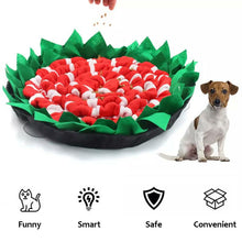 Load image into Gallery viewer, HiFuzzyPet Adjustable Dog Snuffle Mat, Pet Nose Training Toy
