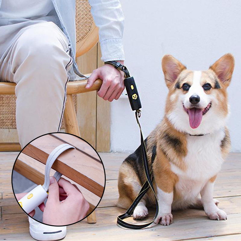 black hand free leash for dogs