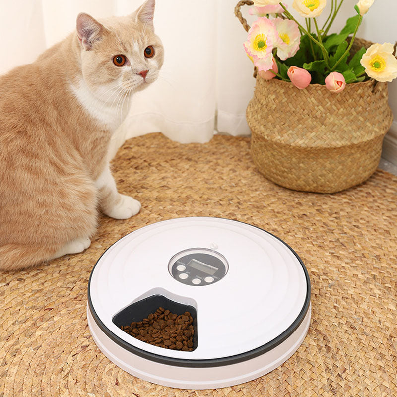 HiFuzzyPet Smart Automatic Dog Feeder with Timer