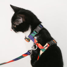 Load image into Gallery viewer, HiFuzzyPet Easy Control Cat Harness and Leash Set for Walking
