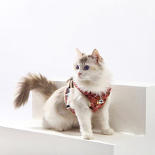 Load image into Gallery viewer, HiFuzzyPet Fashionable Cat Harness and Leash Set  - Escape Proof Cat Dog Walking Harness
