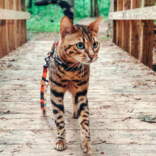 Load image into Gallery viewer, HiFuzzyPet Easy Control Cat Harness and Leash Set for Walking
