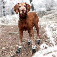 Load image into Gallery viewer, HiFuzzyPet Waterproof Dog Boots for Winter
