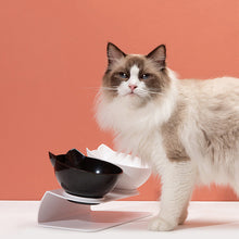 Load image into Gallery viewer, HiFuzzyPet Silicone Elevated Cat Bowls with Stand
