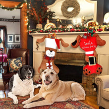 Load image into Gallery viewer, dog bone Christmas stockings for pets
