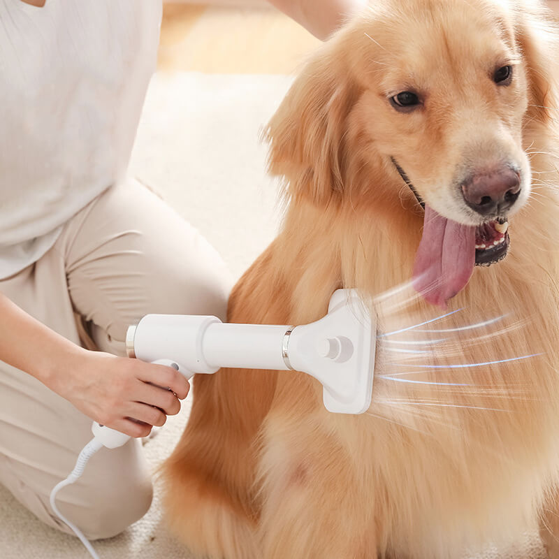 Portable 2024 dog dryer