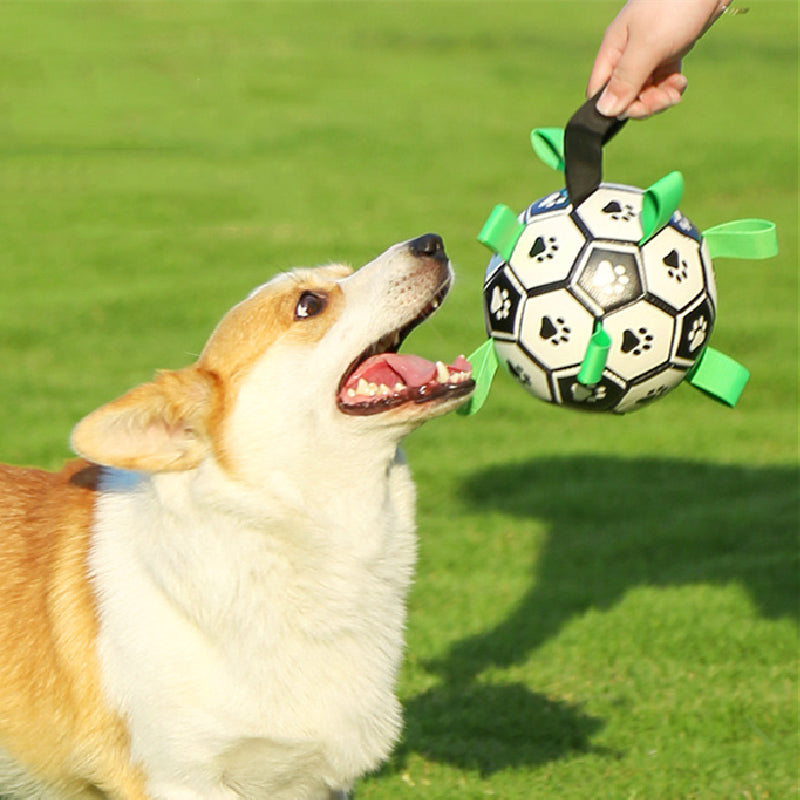 HiFuzzyPet Dog football toy interactive relieves boredom