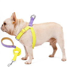 Load image into Gallery viewer, HiFuzzyPet Adjustable Nylon No Pull Dog Harness &amp; Leash
