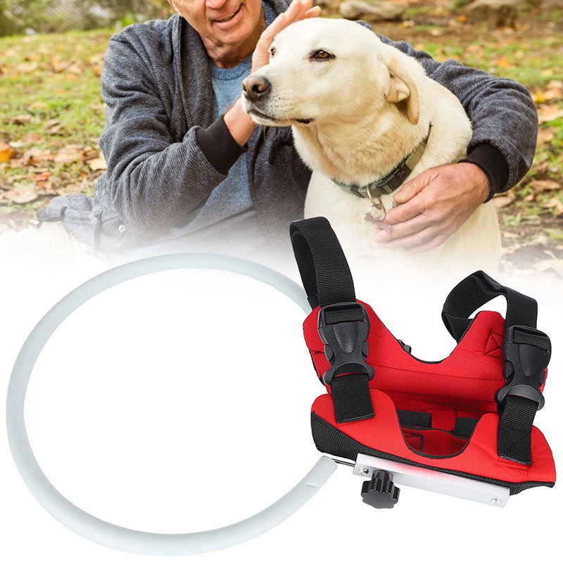 The Halo Vest for Blind Dogs — Tools and Toys