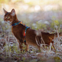 Load image into Gallery viewer, HiFuzzyPet Easy Control Cat Harness and Leash Set for Walking
