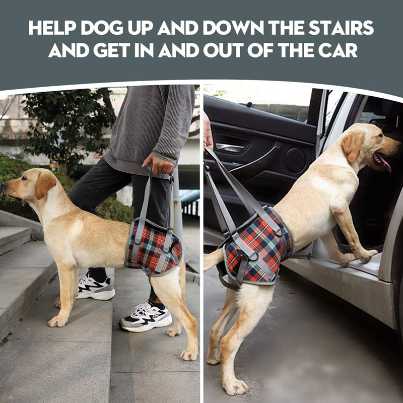 DogUp Stand - Adjustable Dog Grooming Support  