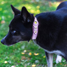 Load image into Gallery viewer, pink AirTag dog collar
