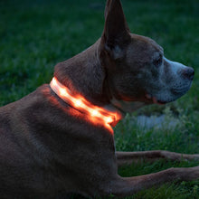 Load image into Gallery viewer, HiFuzzyPet Dog Light Collar, Adjustable Soft Dog Collar
