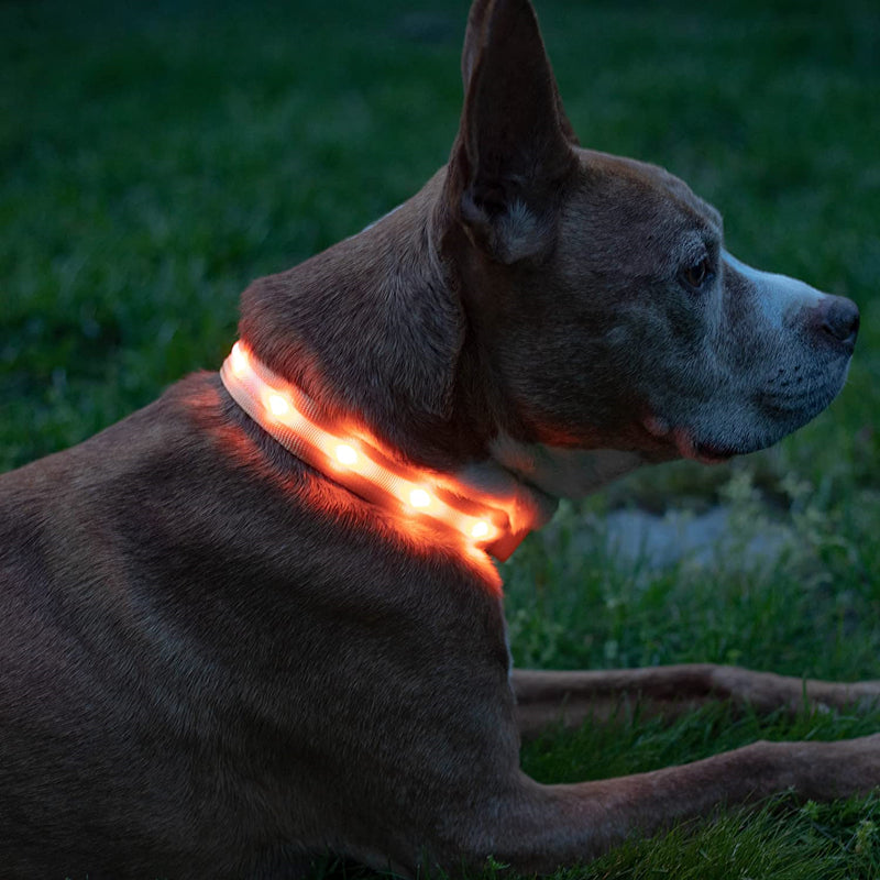 HiFuzzyPet Dog Light Collar, Adjustable Soft Dog Collar