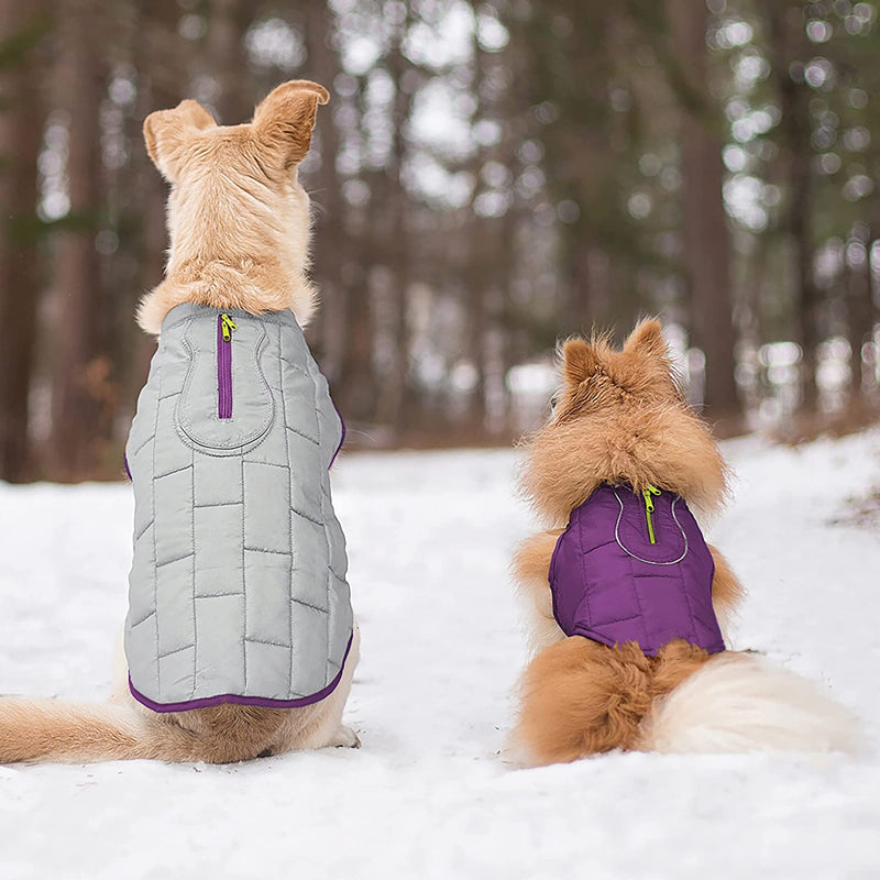 HiFuzzyPet Reversible Dog Winter Jacket