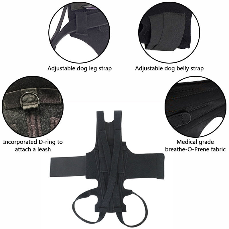 Dog Back Brace for IVDD, Lightweight Back Support Brace for Dogs, Full ...