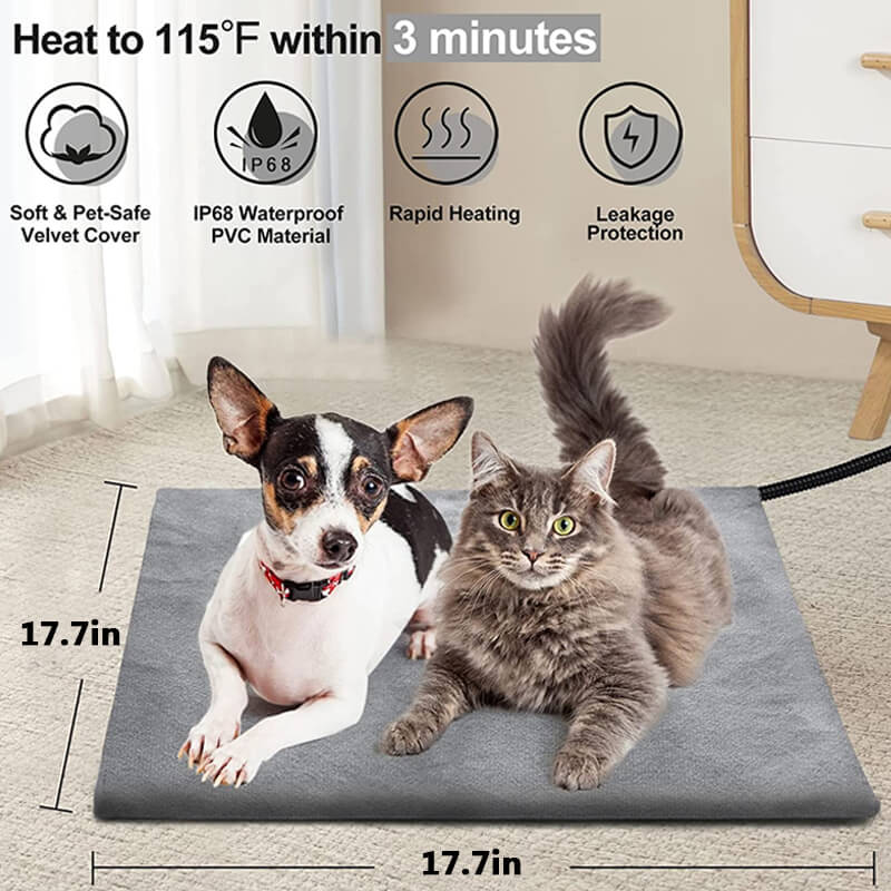 Are Heating Pads Safe for Cats & Kittens?
