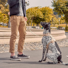 Load image into Gallery viewer, pink dog vest harnesses 
