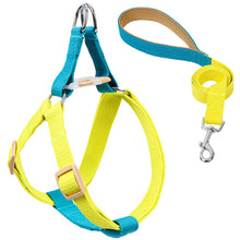 Load image into Gallery viewer, HiFuzzyPet Adjustable Nylon No Pull Dog Harness &amp; Leash
