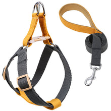 Load image into Gallery viewer, HiFuzzyPet Adjustable Nylon No Pull Dog Harness &amp; Leash
