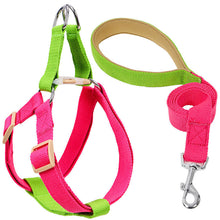 Load image into Gallery viewer, HiFuzzyPet Adjustable Nylon No Pull Dog Harness &amp; Leash
