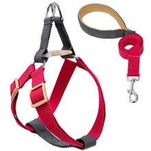 Load image into Gallery viewer, HiFuzzyPet Adjustable Nylon No Pull Dog Harness &amp; Leash
