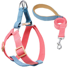 Load image into Gallery viewer, HiFuzzyPet Adjustable Nylon No Pull Dog Harness &amp; Leash
