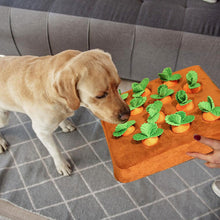 Load image into Gallery viewer, HiFuzzyPet Dog Carrot Snuffle Mat
