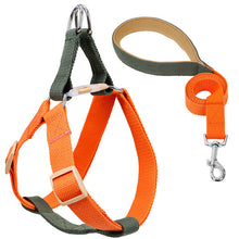 Load image into Gallery viewer, HiFuzzyPet Adjustable Nylon No Pull Dog Harness &amp; Leash
