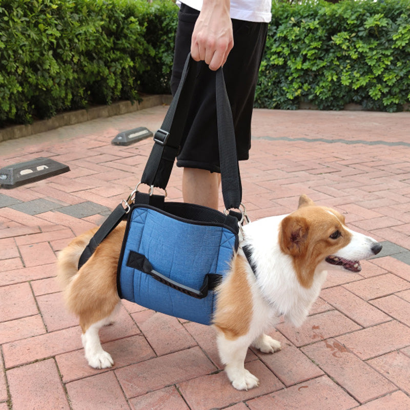 Petbaba dog hot sale lift harness