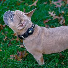 Load image into Gallery viewer, black AirTag dog collar
