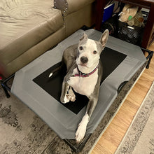 Load image into Gallery viewer, HiFuzzyPet Elevated Dog Bed Dog Cot with Mesh Center
