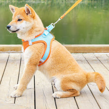 Load image into Gallery viewer, HiFuzzyPet Summer Vest Style Cat Harness and Leash Set
