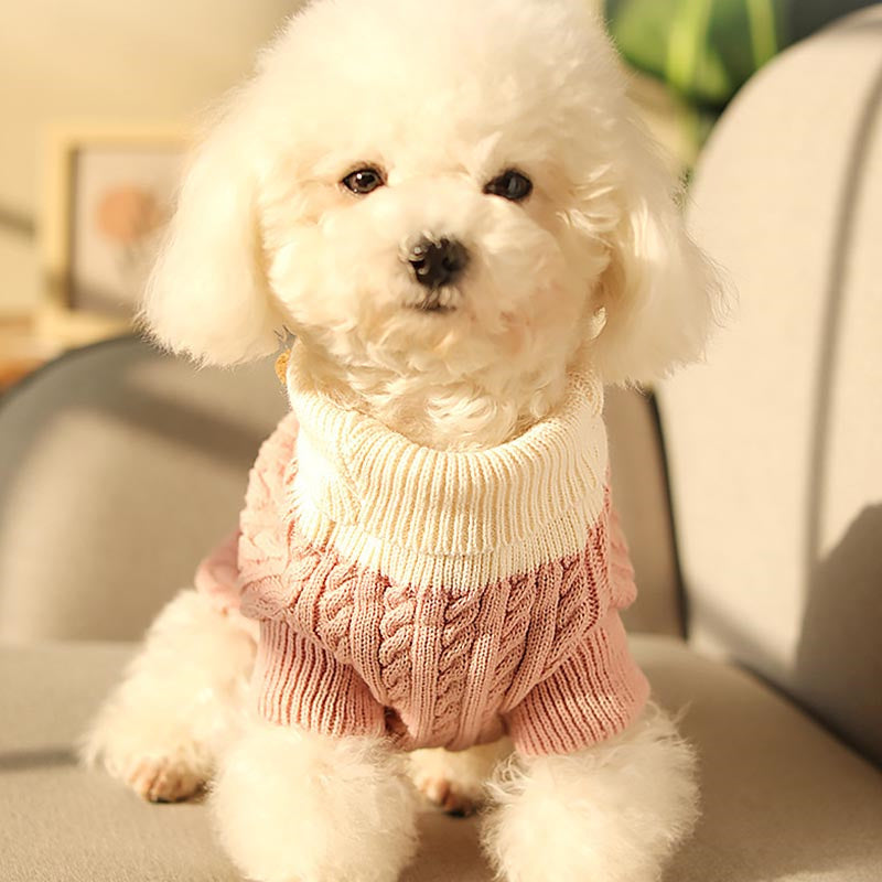 Cute on sale dog sweaters